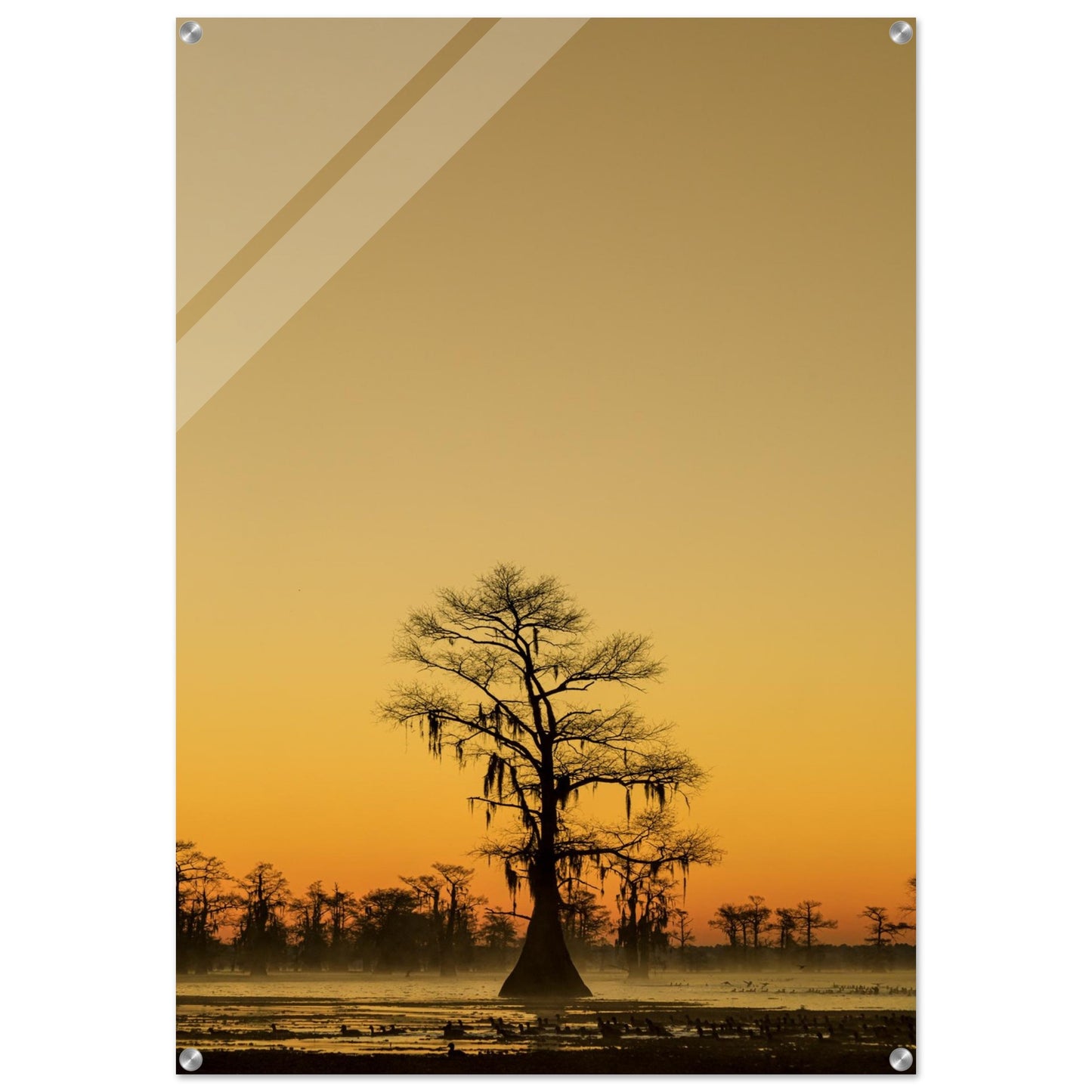 13da2061-622d-4826-b4aa-c054f4615abd