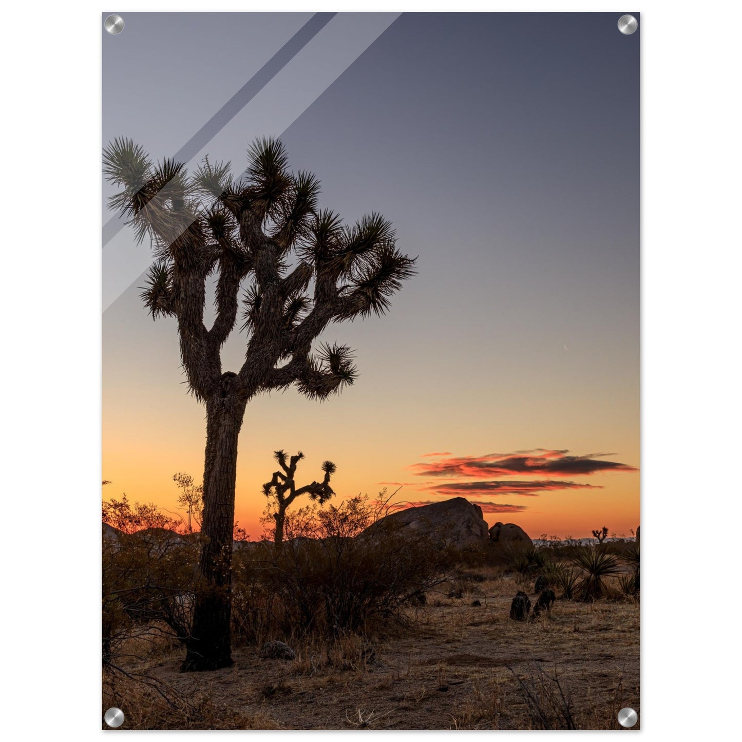 1e5d4f22-746e-40dd-9d5e-e9dc943ff0ac