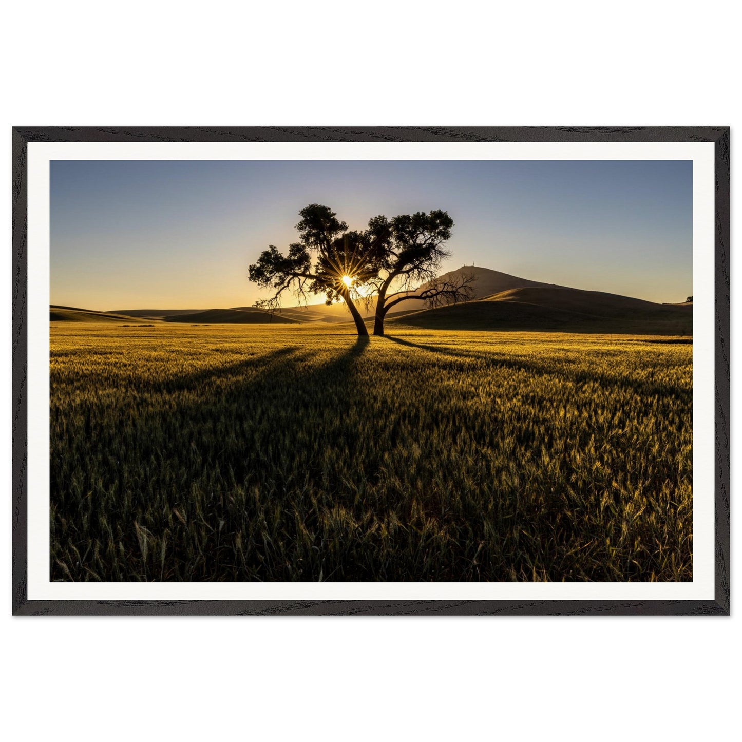 Elevate your space and get inspired everyday with a photography of natural poetry. Customized size. Premium poster and frame.