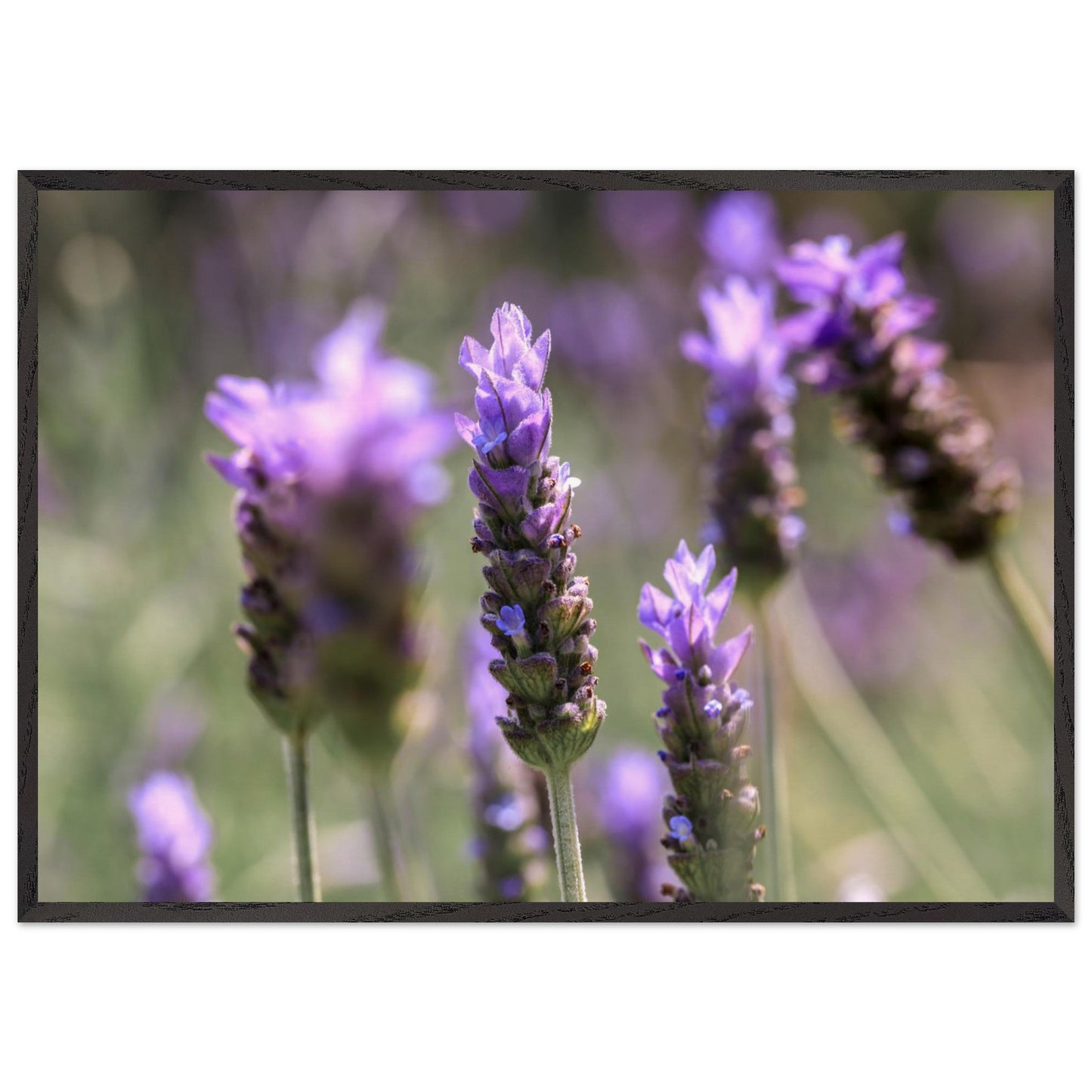 4371a56f-11d6-4833-aabb-157f2d100fce