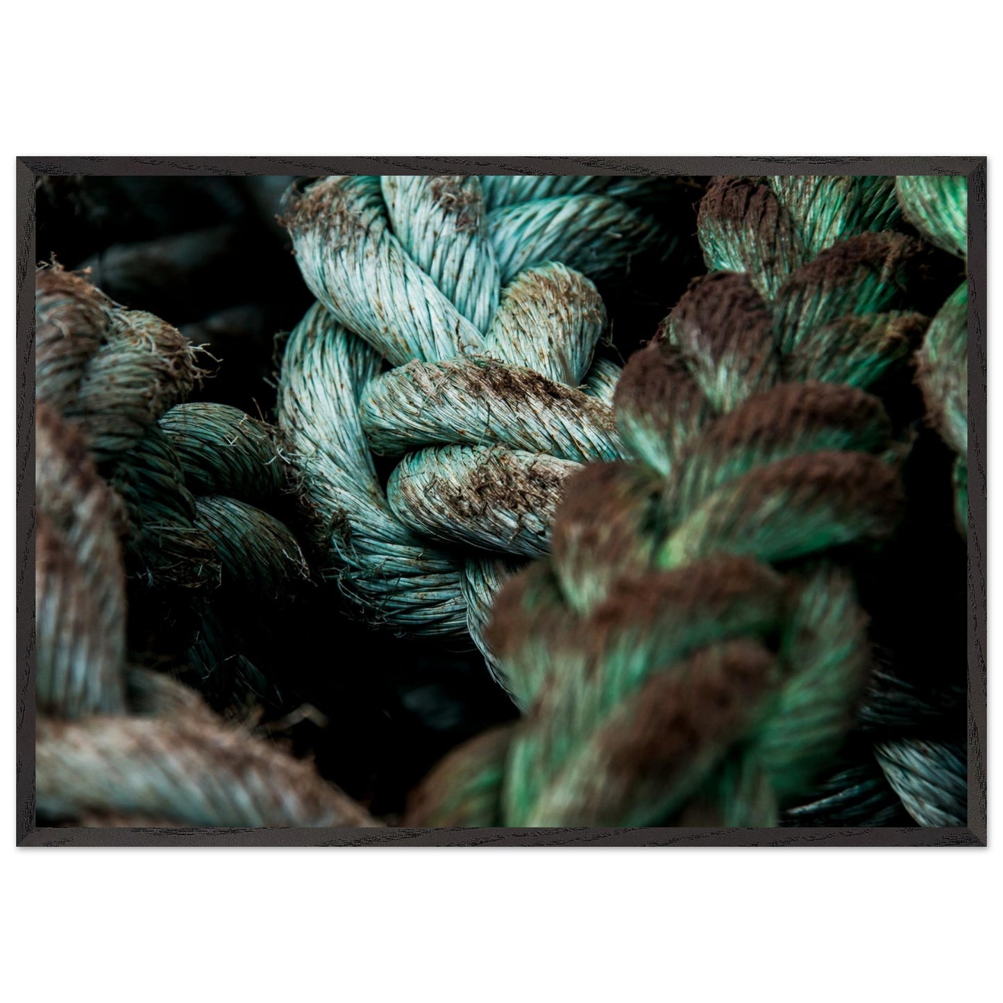 4f766eea-cf6f-4f37-8a78-76df16f687cb