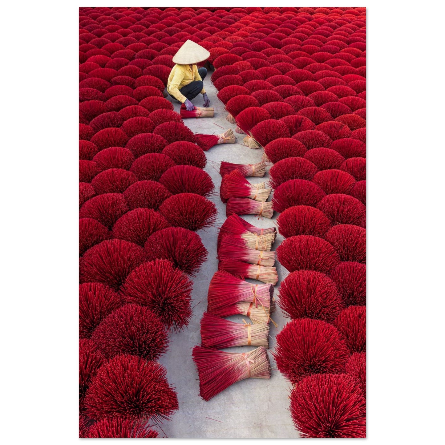 79f47c7a-700f-45b0-81c6-c26b00c54e3e