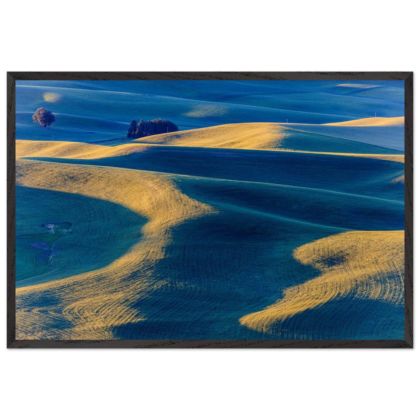 A landscape photography of an open green field and hills creating blue shadows. Museum-quality poster and frame.
