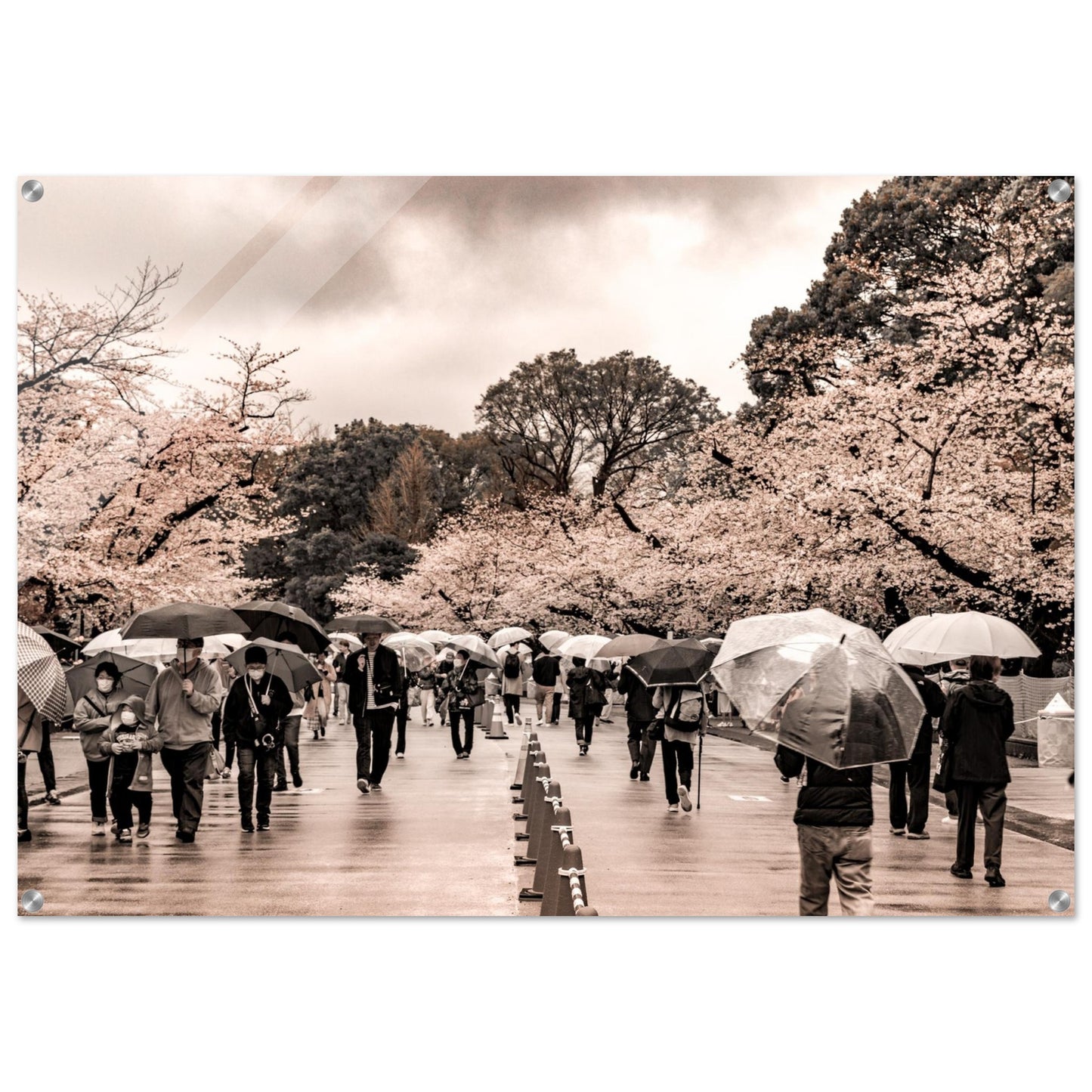 b4860fe6-3c6f-4c81-824a-59b4b4e7fd9d