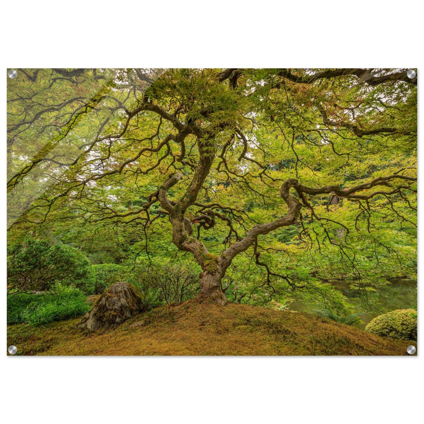 c10f7dba-0991-4e1d-90fe-d578cf8f4c87