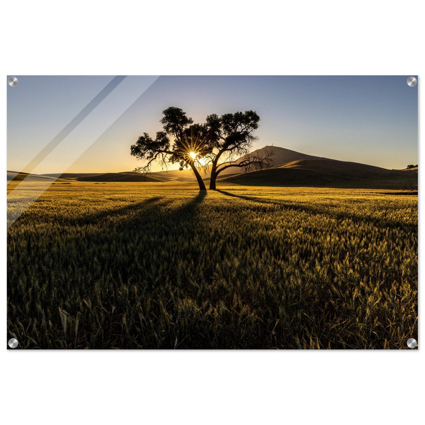 Elevate your space and get inspired everyday with a photography of natural poetry. Customized size. Premium acrylic material.