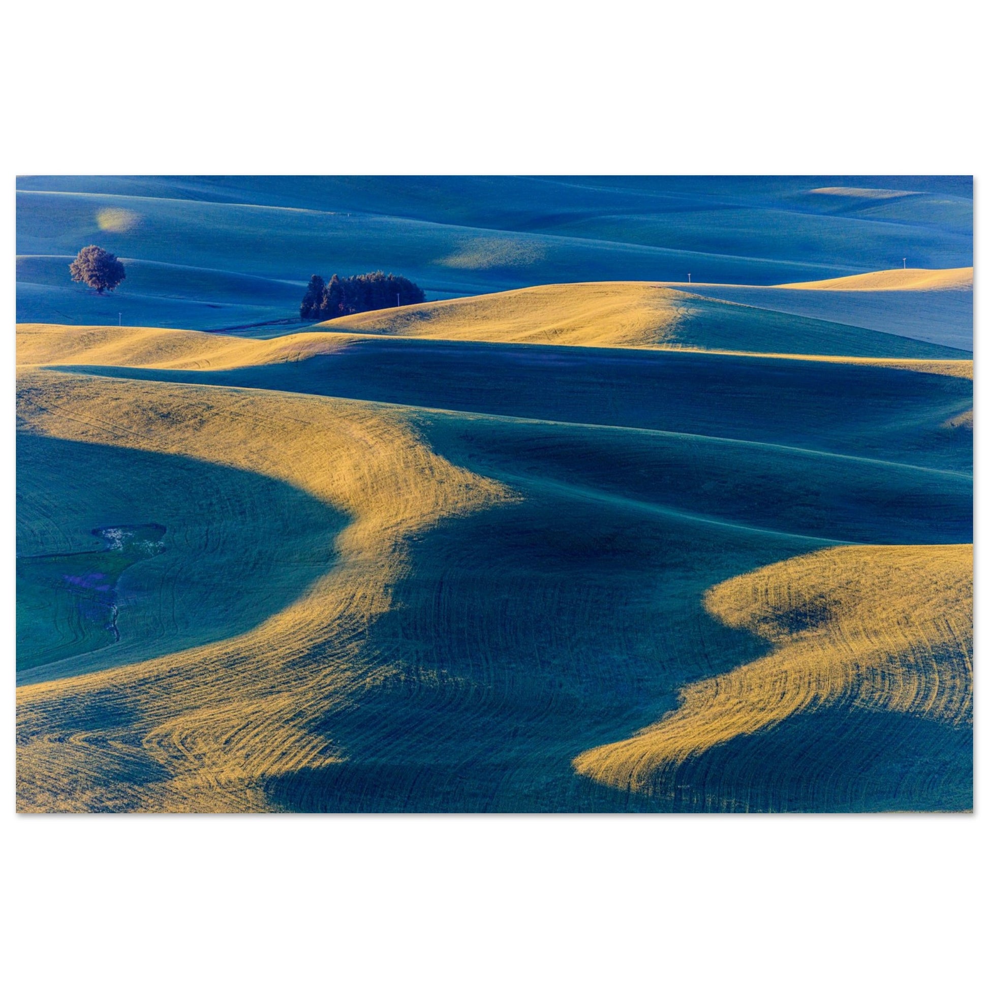 A landscape photography of an open green field and hills creating blue shadows. Museum-quality poster.