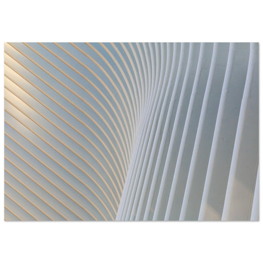 A Photography of dynamic, visually captivating flowing lines, evoking a sense of motion and fluidity with a minimalist approach. Premium poster.