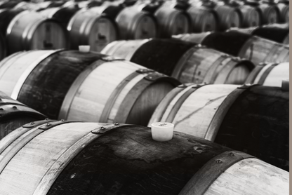 Row of wooden barrels in a black and white photography printed in wood giving to the piece a nice, warm effect