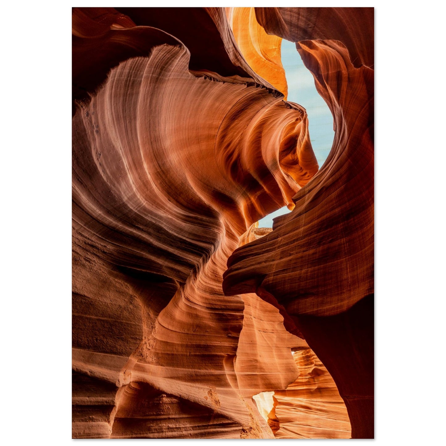 Fine art photography in customized size and high-end printing materials to add the best look of nature to your walls.