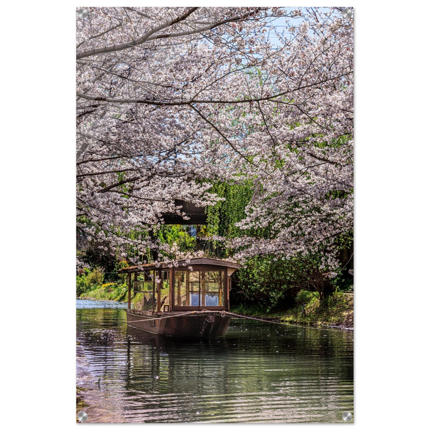 106effab-9763-4a72-a9e3-0252bef8af85