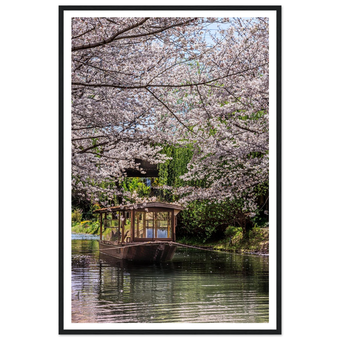 Boat under cherry blossom trees by a lake
