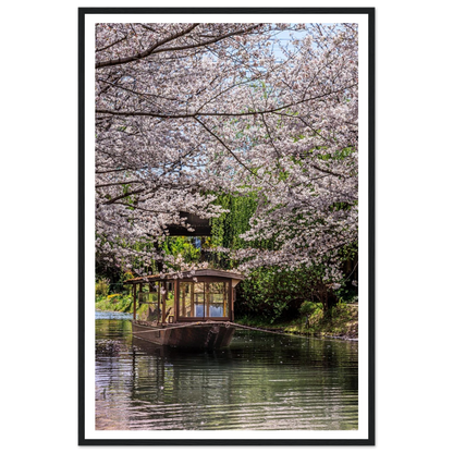 Boat under cherry blossom trees by a lake