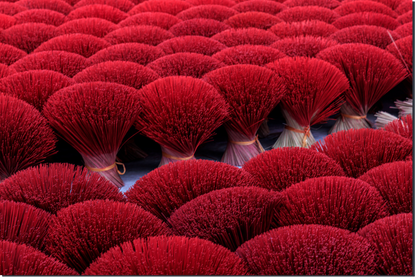 Natural Red Brushes - Limited Edition