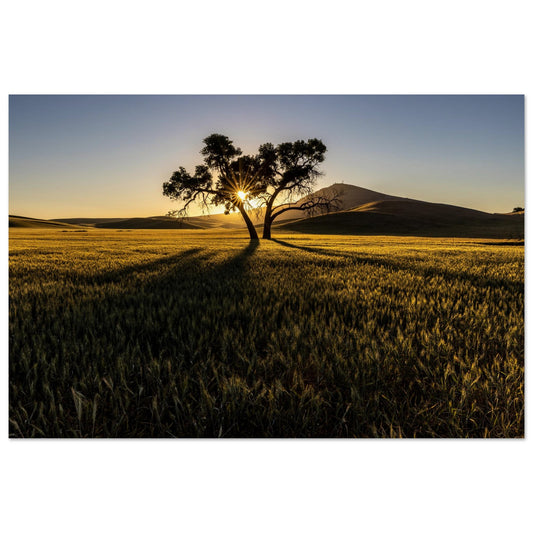 Elevate your space and get inspired everyday with a photography of natural poetry. Customized size. Premium poster.