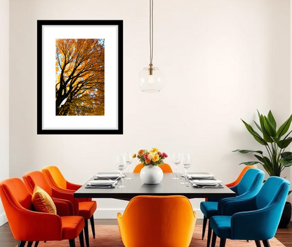 Modern dining room with colorful chairs and a framed autumn tree picture on the wall.