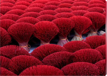 Close-up of red incense sticks in packaging
