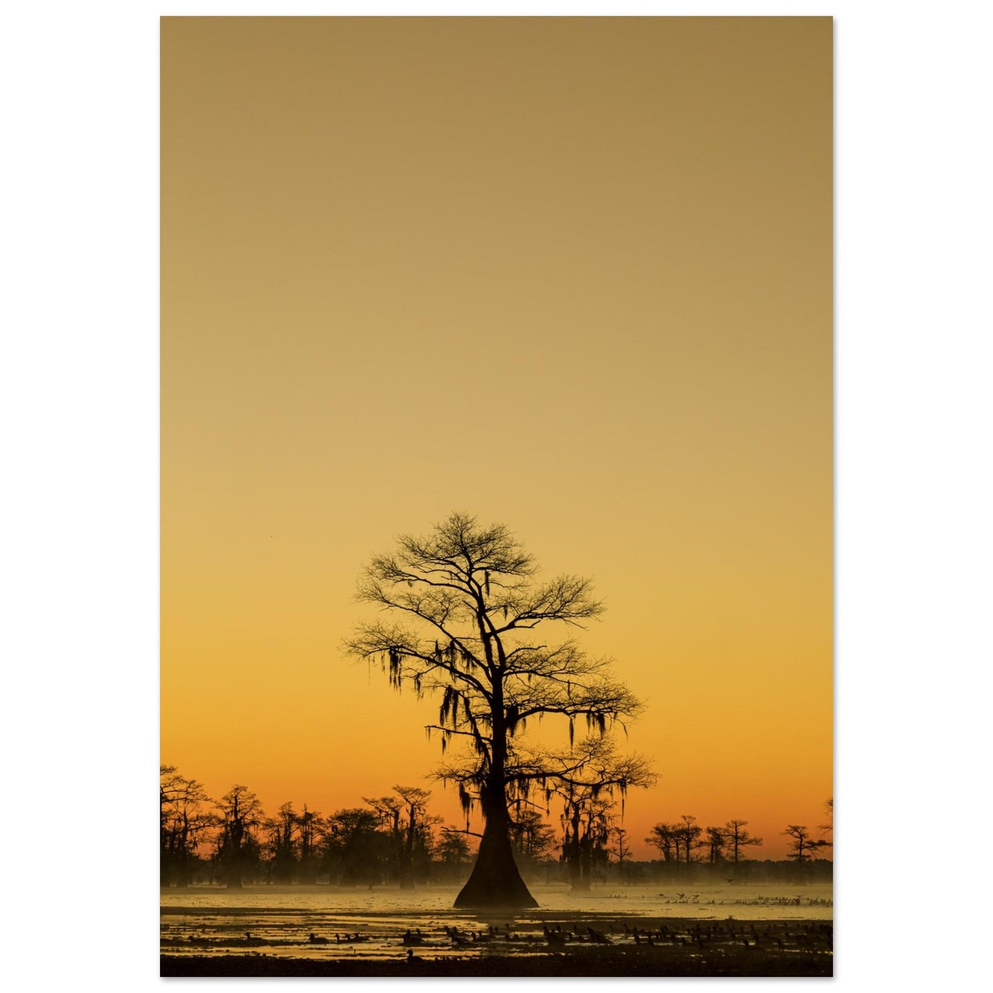 A photography piece showing the silhouette of a tree against a sunset backdrop with rich golden and orange hues.