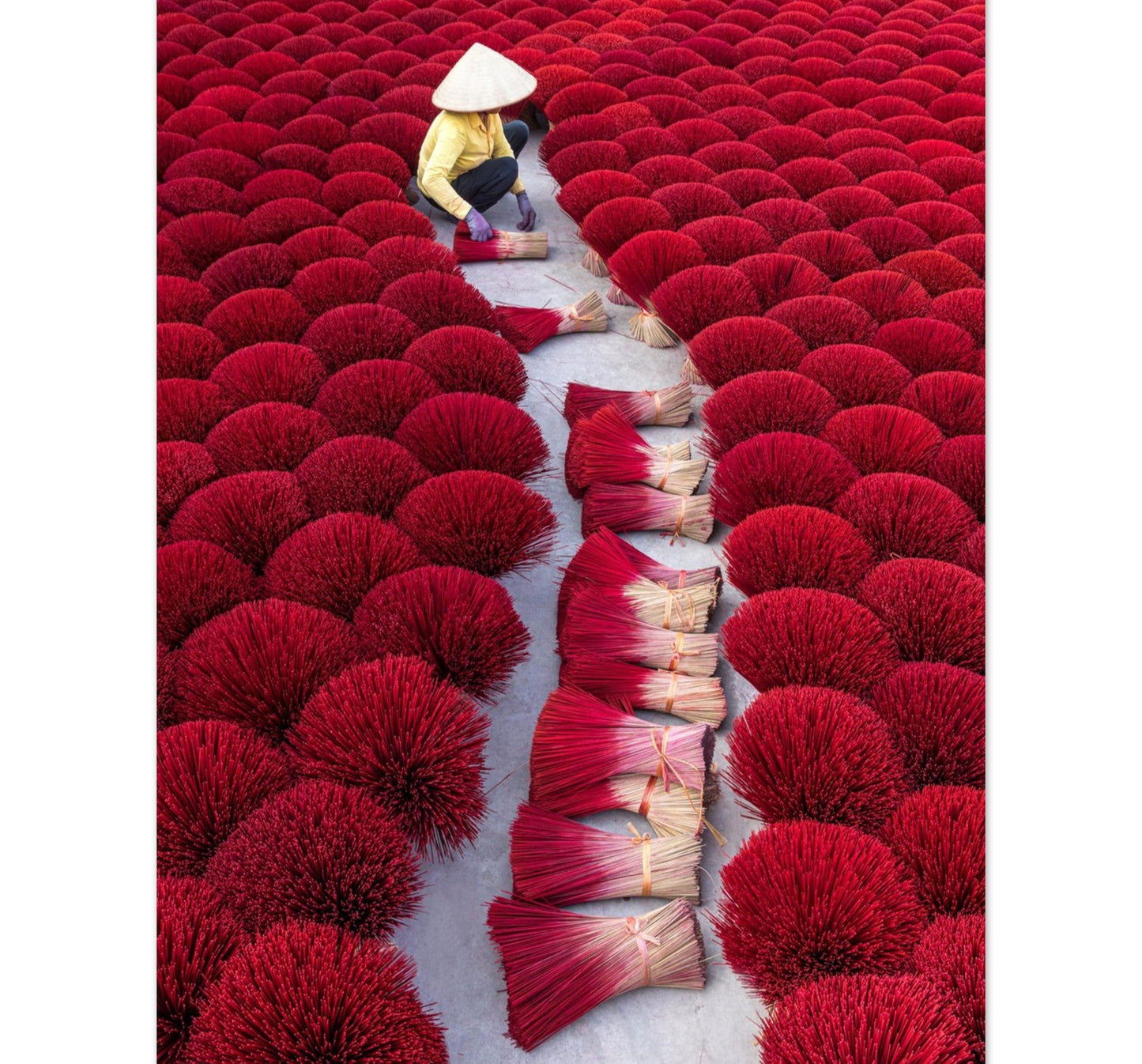 Stunning photograpyh that captures the essence of craftsmanship and tradition. In this captivating scene, a local artisan is surrounded by vibrant cherry red incense sticks, skillfully creating a path of "brushes" that transforms the landscape into a living art installation. Perfect for fine art enthusiasts and those drawn to cultural narratives.