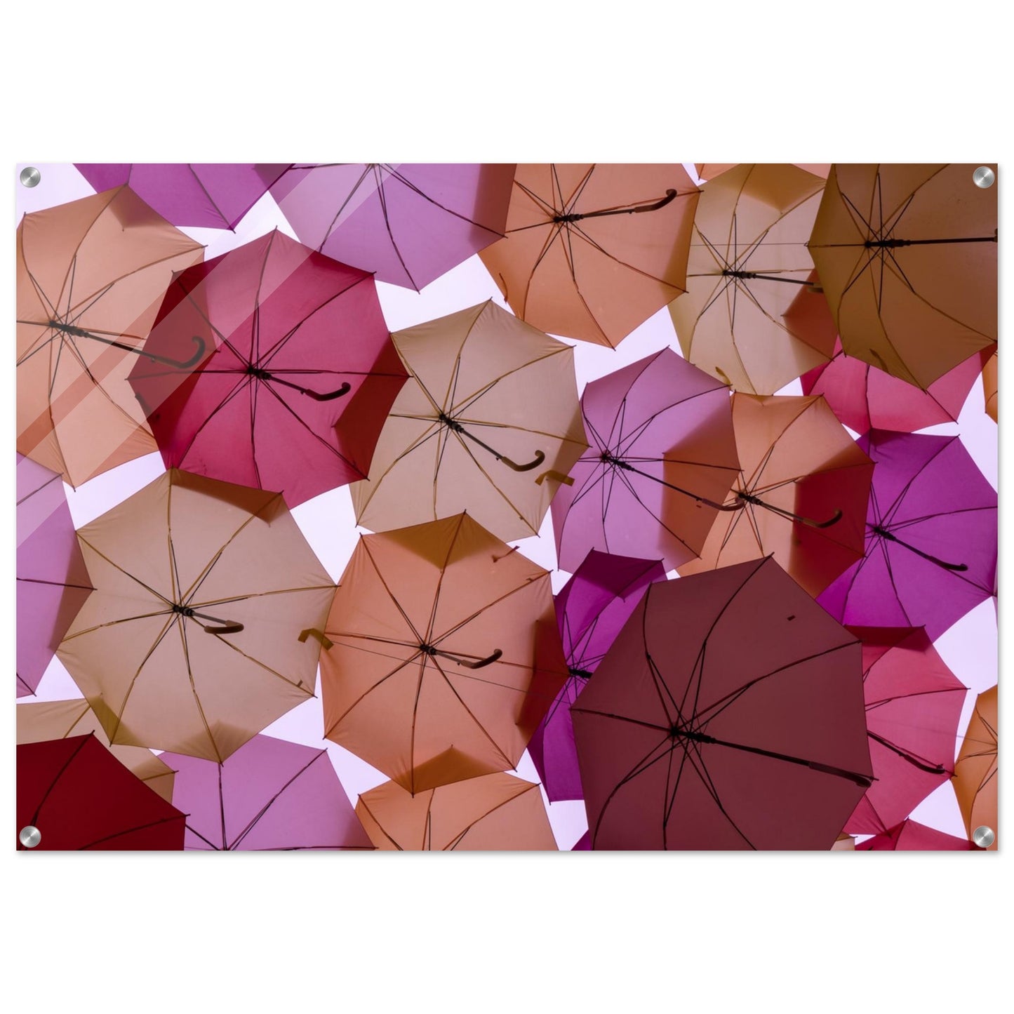 Photography of enchanting sight of a ceiling formed with open umbrellas in soft muted pink and nude tones. Customized Size. Acrylic.