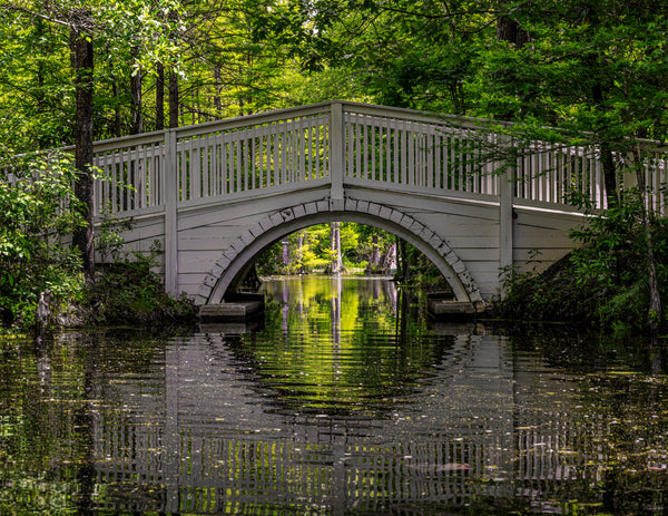 White bridge over a calm pond with green trees in the background printed in museum-quality materials to elevate any space.