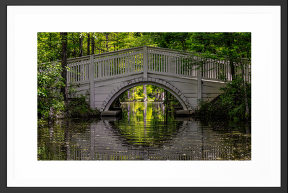White bridge over a calm pond with green trees in the background