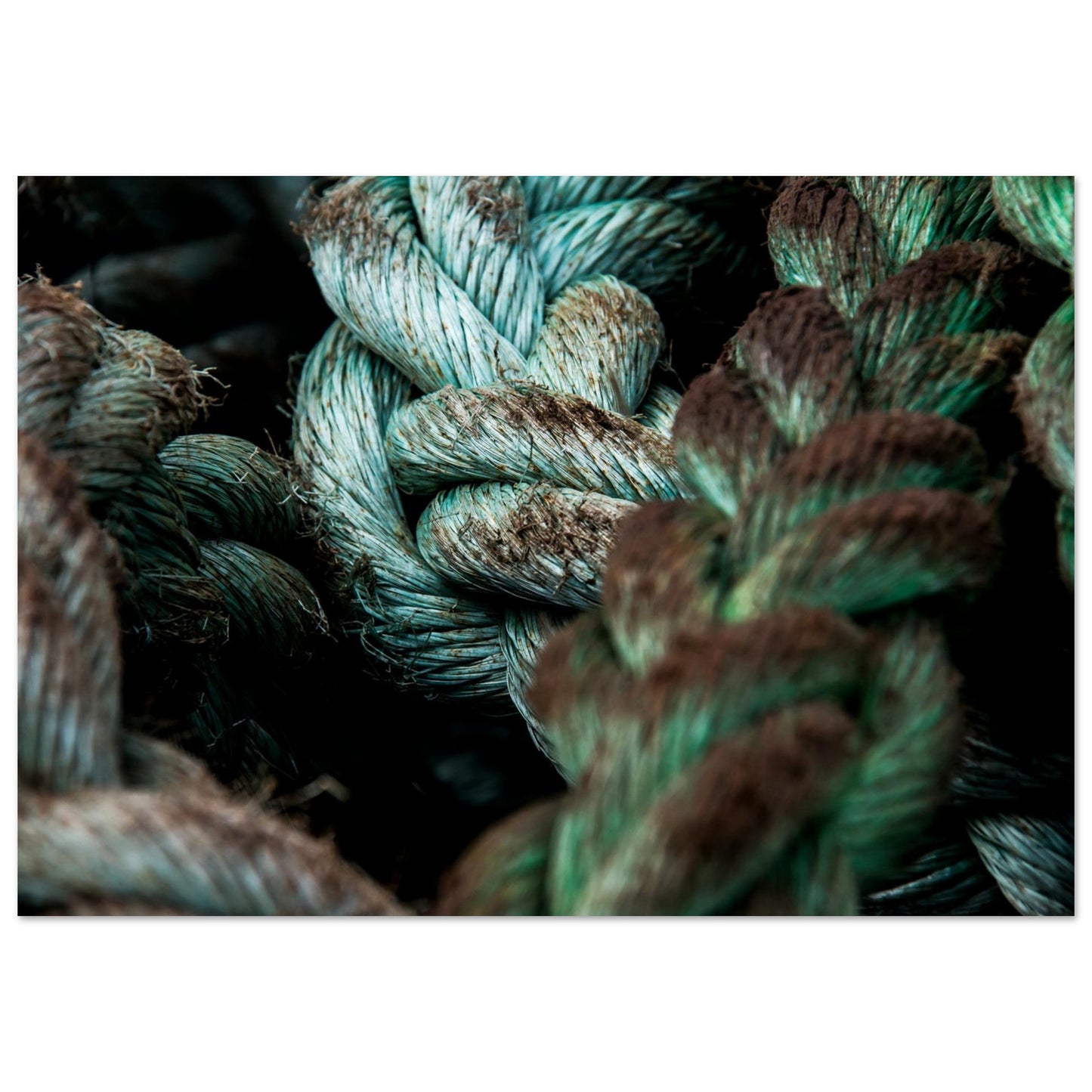 Seascape photography that elevate any interior decoration with personalized size and museum-quality materials.