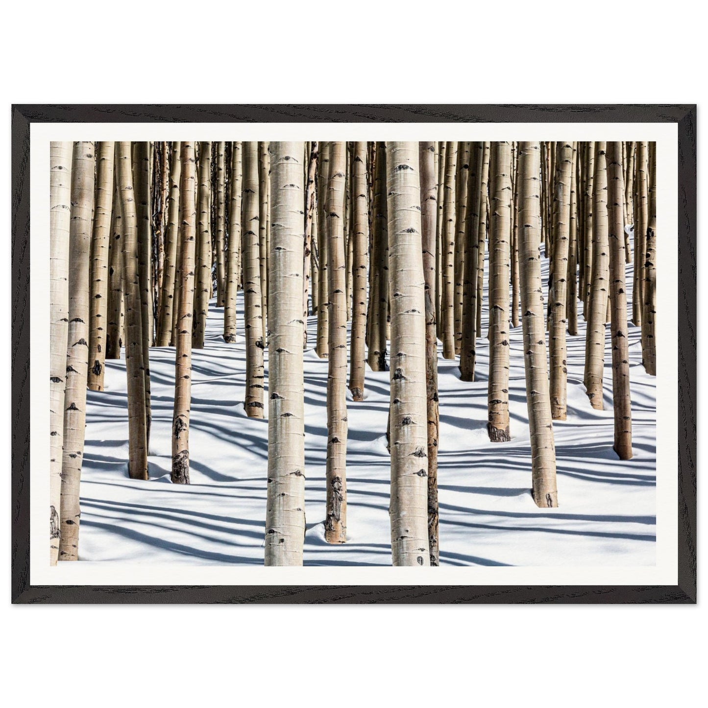 A photography of glowing and uplifting tree portrait evoking a sense of joy, and appreciation for the natural world. Premium Poster and Frame.