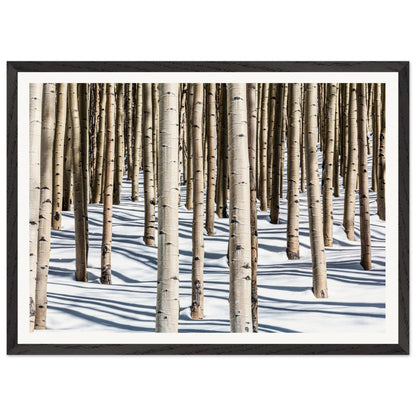 A photography of glowing and uplifting tree portrait evoking a sense of joy, and appreciation for the natural world. Premium Poster and Frame.