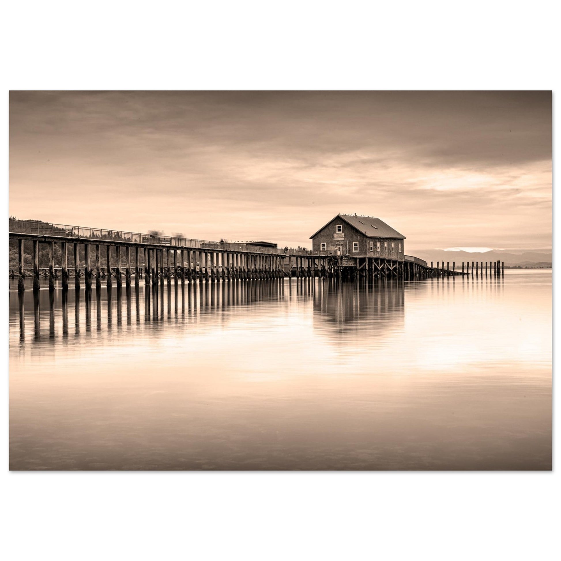 Fine art photography in ocher hues, evoking warmth, tranquility, and a timeless quality.