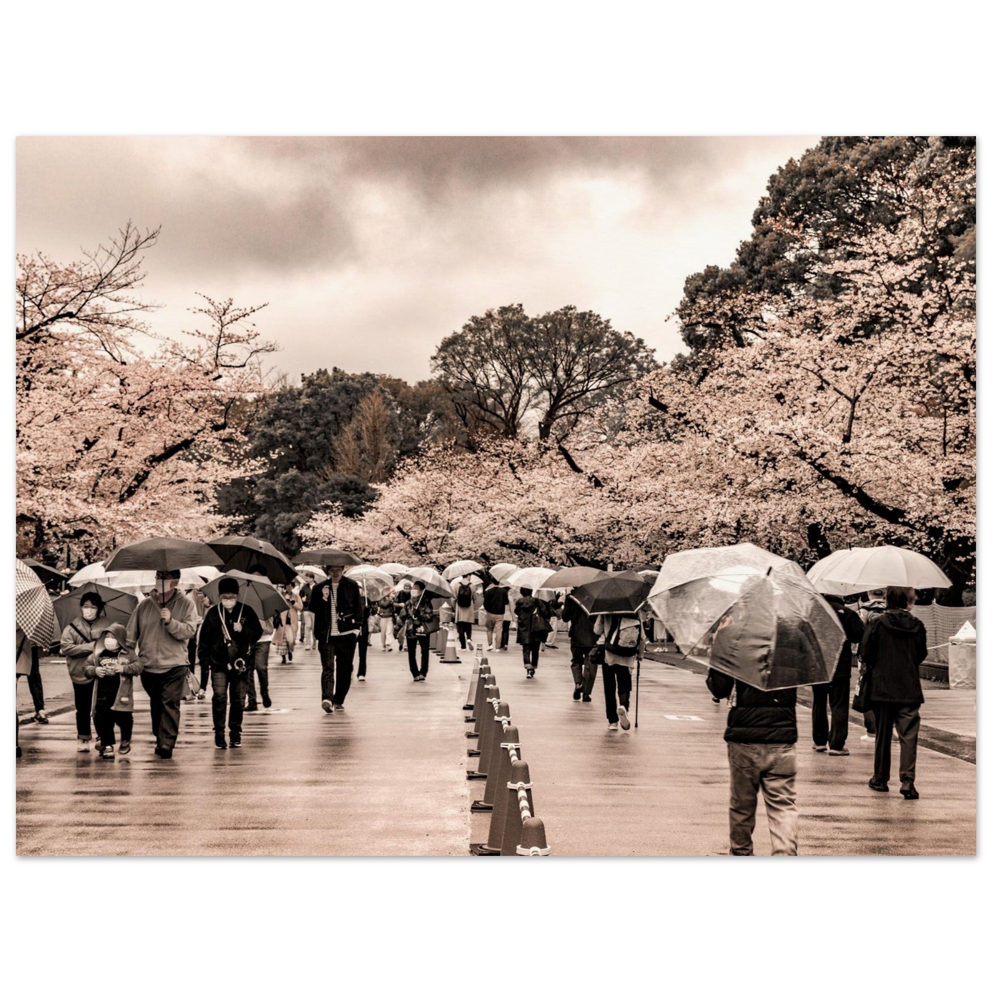A high-end ocher photography of an ordinary scene in the city during a raining day turinging it into something magical and cinematic, adding a sense of timelessness and calm.