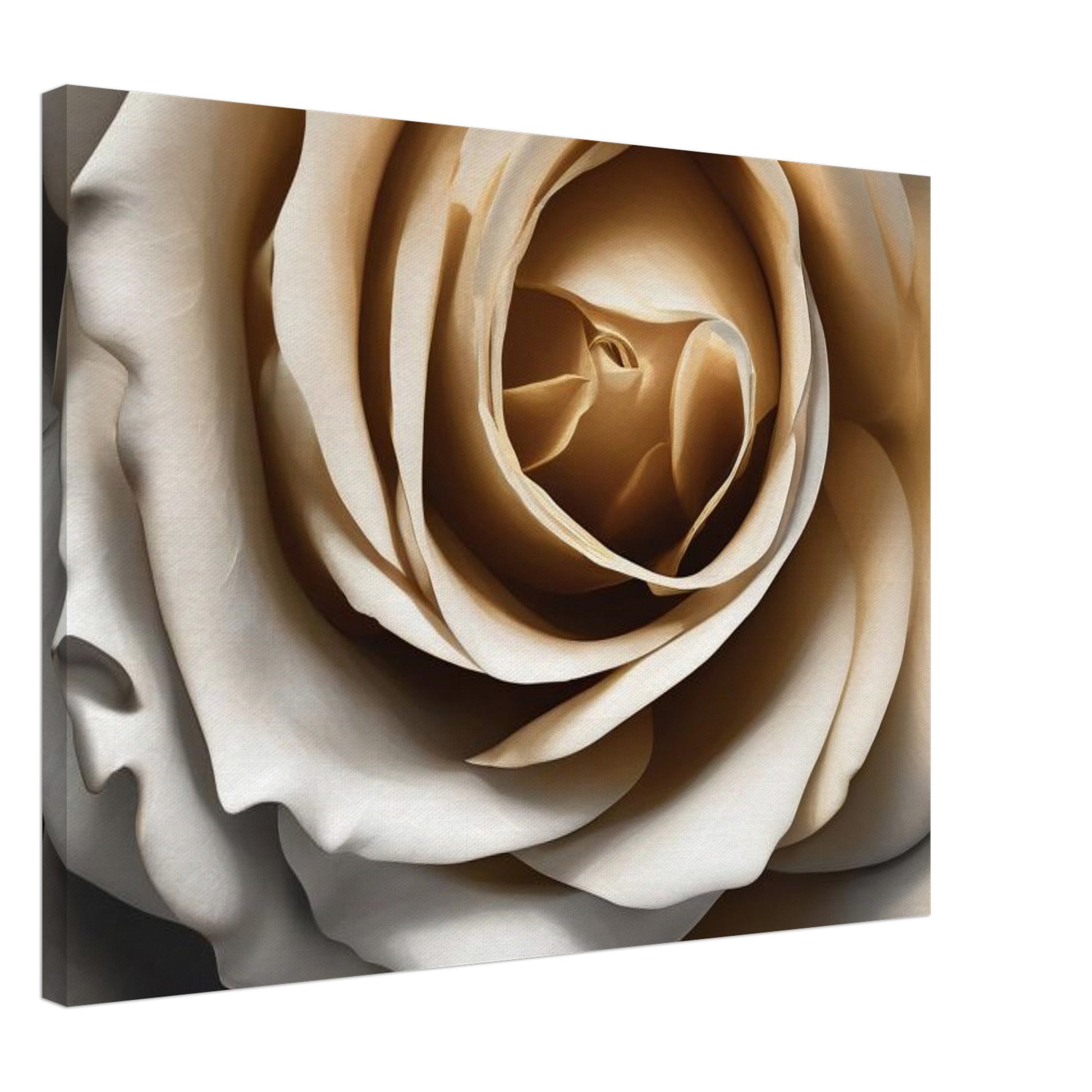 A dramatic but lovely image of a rose, in deep shadows of white and light grey, enhanced with bold light-gold details. Canvas