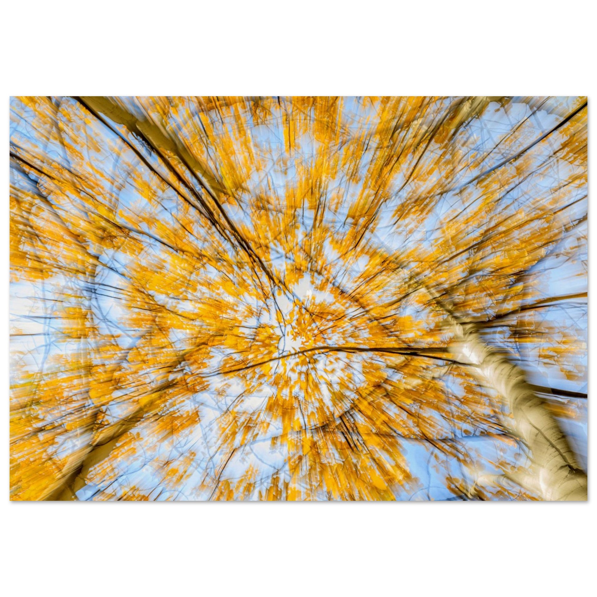 An abstract photography that captures the essence and the warmth of the autumn, creating a powerful and evocative masterpiece that enhance any home decoration.