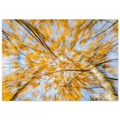 An abstract photography that captures the essence and the warmth of the autumn, creating a powerful and evocative masterpiece that enhance any home decoration.